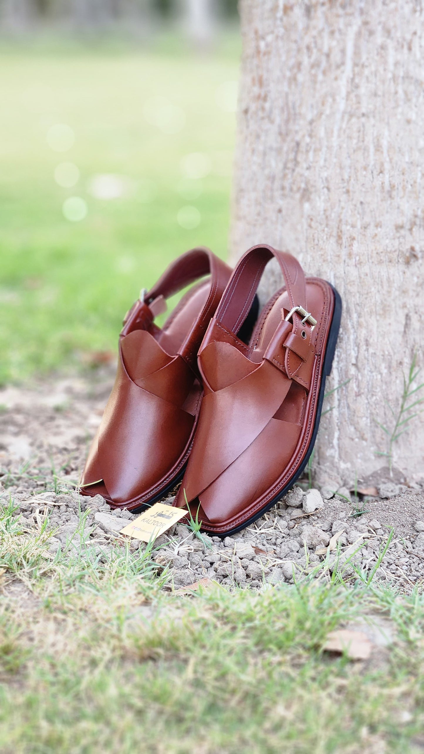 Timeless Maroon