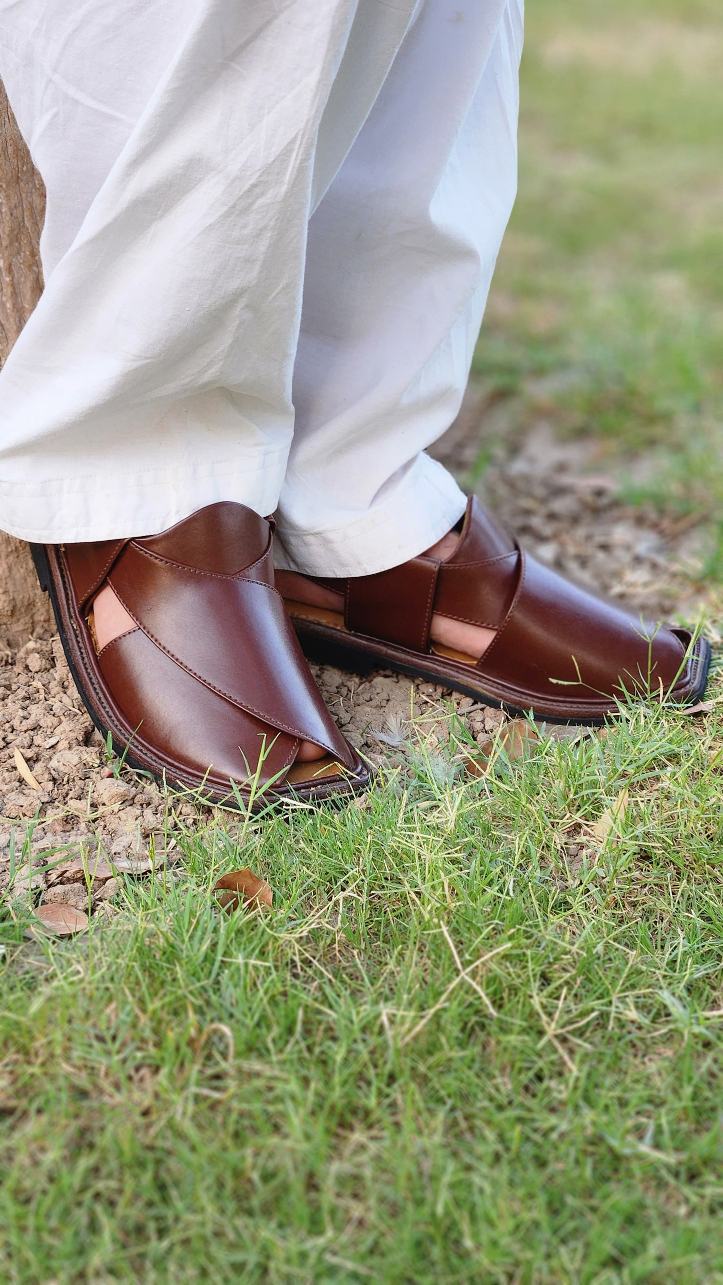 Dark Brown (Wine)